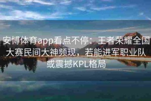 安博体育app看点不停：王者荣耀全国大赛民间大神频现，若能进军职业队或震撼KPL格局