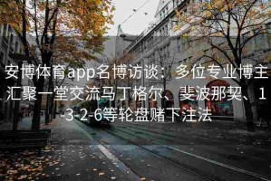 安博体育app名博访谈：多位专业博主汇聚一堂交流马丁格尔、斐波那契、1-3-2-6等轮盘赌下注法